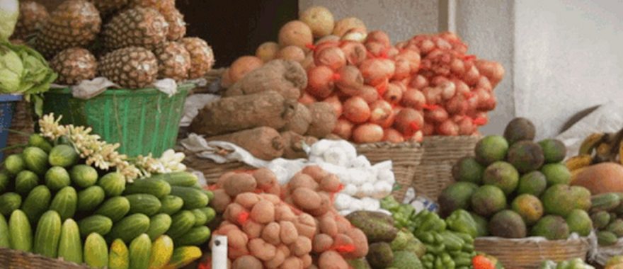  Inflation : Hausse de plus de 300% des prix d'intrants agricoles importés 