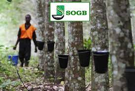  Financial results: SAPH and SOGB recorded a decrease in the first quarter of 2023 