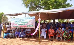  Agricultural season 2024-2025: Benin takes measures for the benefit of the sector 