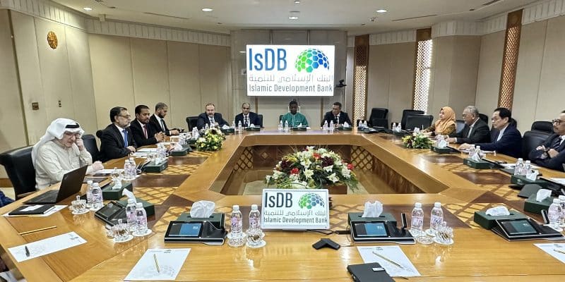  Projets de développement : la Banque islamique de développement accorde des financements aux pays africains 