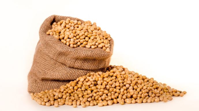  Production de céréales : Les prix à terme du soja de Chicago baisse de 1 % 
