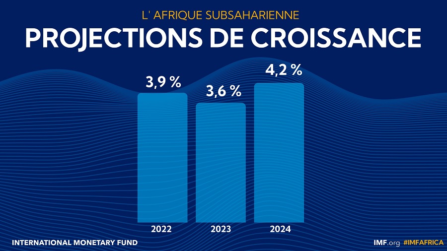  Afrique subsaharienne : La croissance des pays en hausse en 2024 