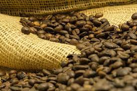Filière café : WE! Fund investit 250 millions de dollar dans Dialibatou Invest