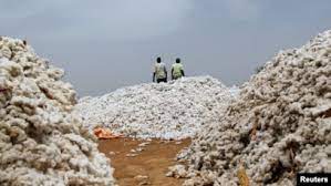  Production cotonnière au Tchad : les changements climatiques, un principal incident 