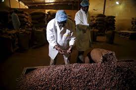  Food for Progress: the Nigerian cacao value chain strengthened with $22 million 