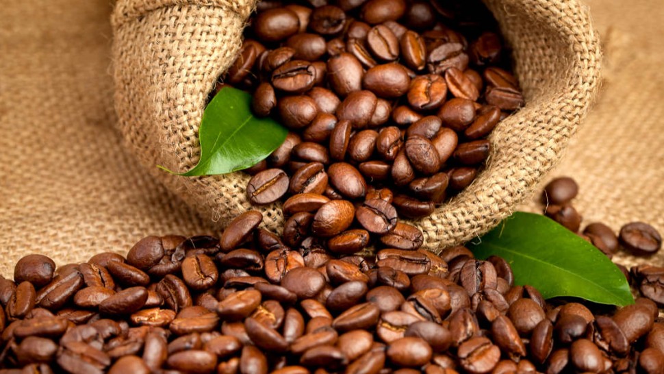  Tanzania: New coffee varieties improve farmers' livelihoods 