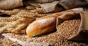 Nigeria: Projet d'importation du blé génétiquement modifié 