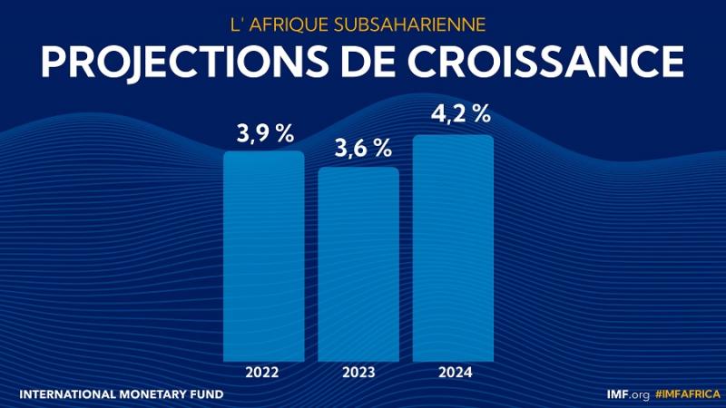  Economy: an increase of 2.9% recorded in Sub-Saharan Africa in 2023 